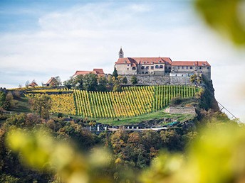 Auf und davon! Naturgenuss im Südosten der Steiermark erleben inkl. Frühstück | 2 Nächte