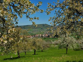 Romantik Auszeit 3 Tage im Markgräflerland - inkl. Therme