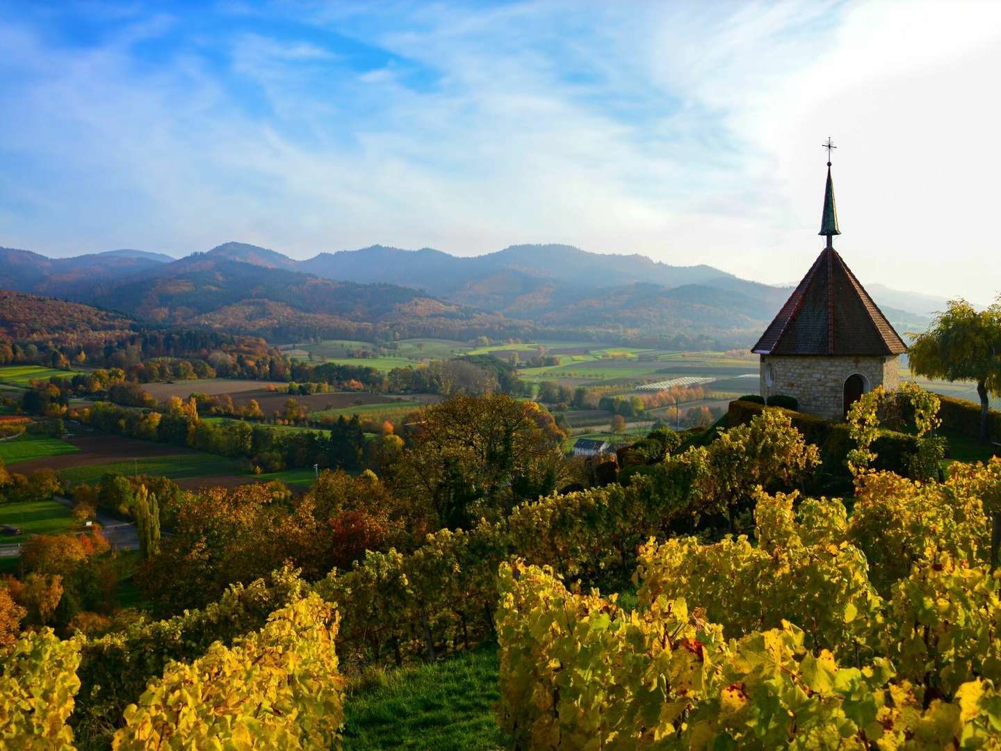 Wein und Genuß | 3 Tage im Markgräflerland 