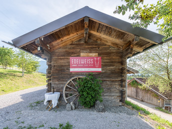 Appartmenturlaub in Kaprun inkl. VIP Thermen Eintritt Tauern Spa | 4 Nächte