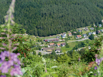 Kurztrip-Bonustage 4 = 3 im Schwarzwald