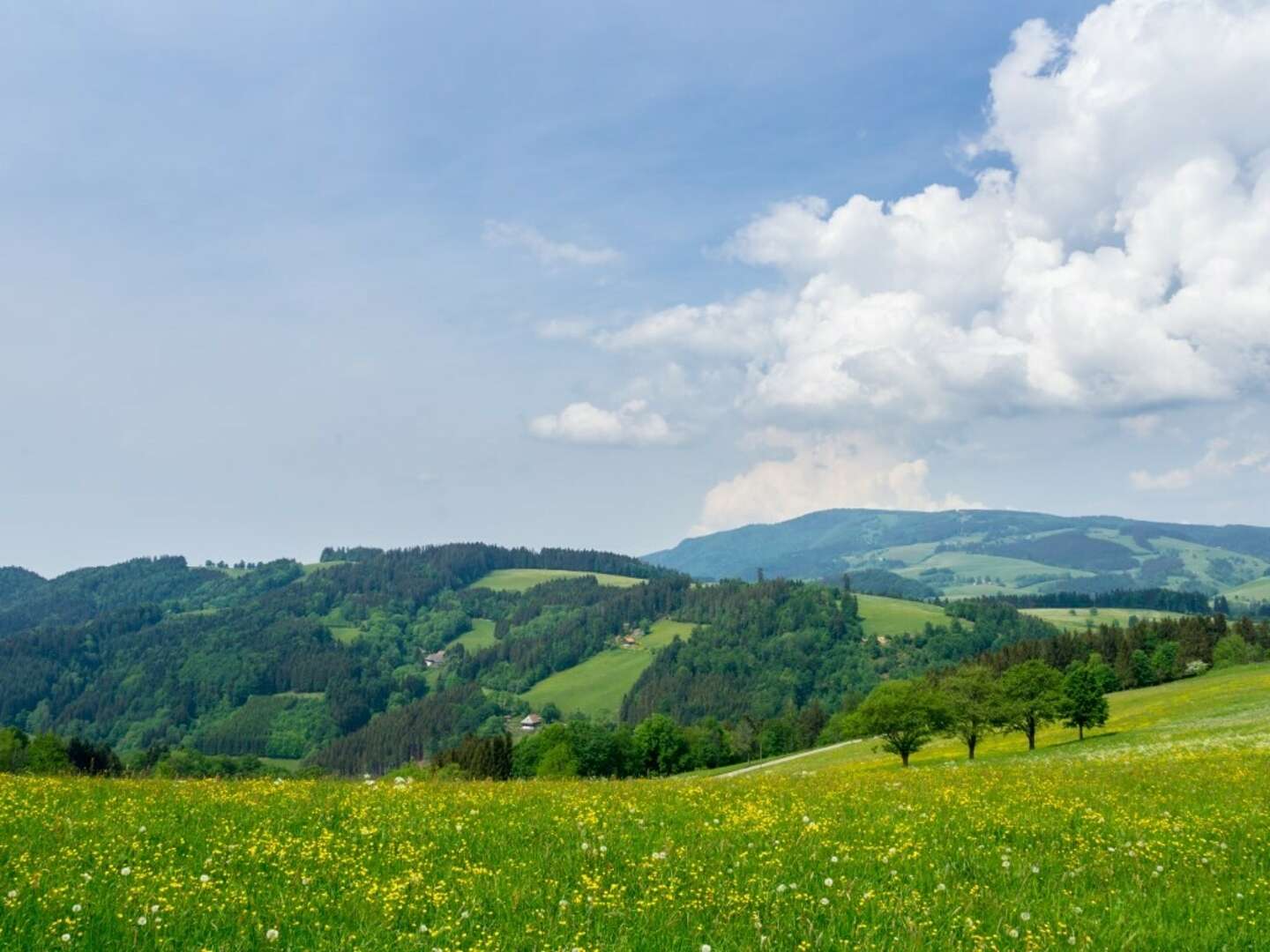 Kennenlerntage | 4 Tage im Schwarzwald