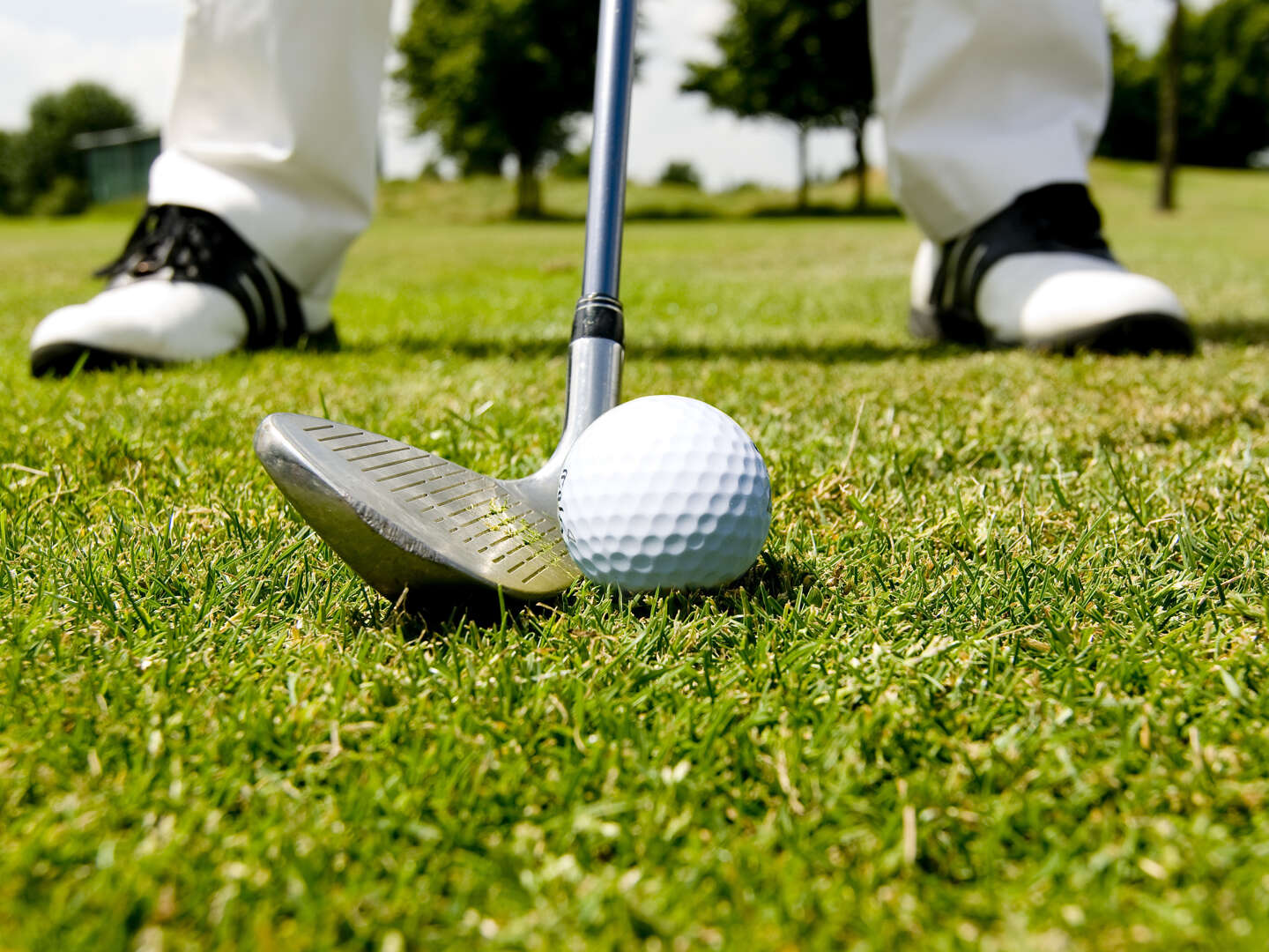 Hole-In-One - Golfen in der Pfalz inkl. Menü 