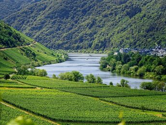 Die Mosel entdecken | 5 Tage