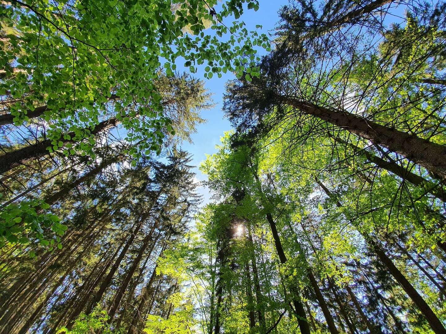 Wohlfühl-Zeit im Bayerischen Wald - 7 = 6