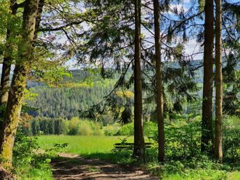 Wohlfühl-Zeit im Bayerischen Wald - 7 = 6