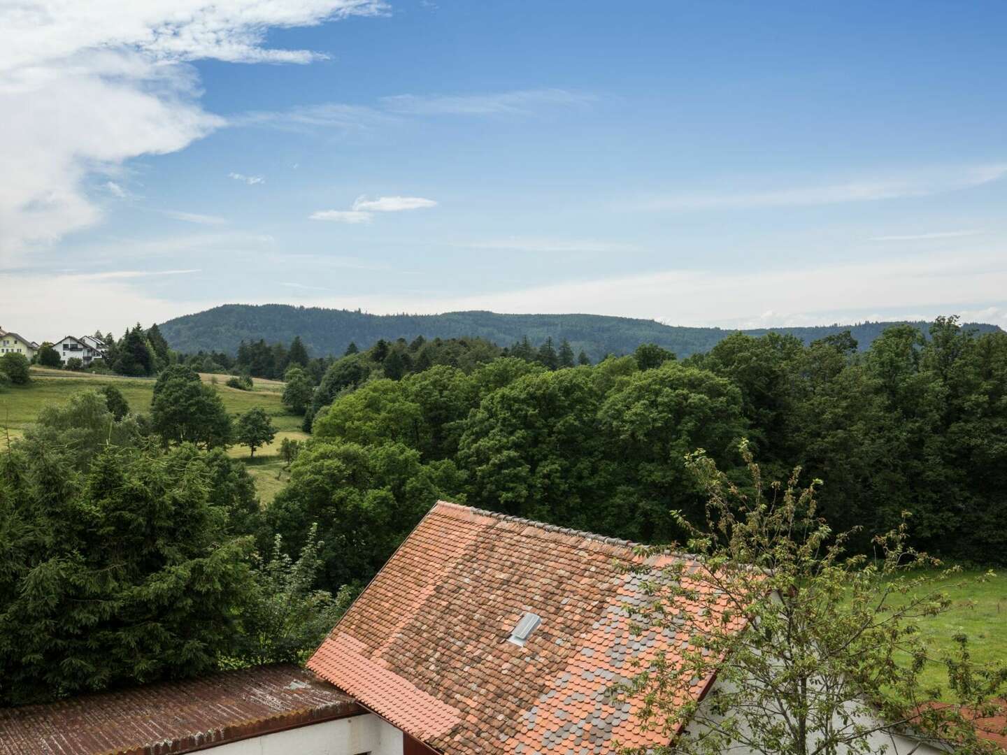 Für Weinliebhaber - Bad Herrenalb inkl. 5-Gang Degustationsmenü