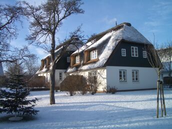 Föhr - ganz natürlich