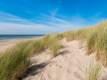 Inselschnuppern auf Föhr