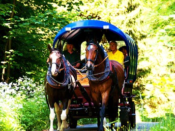 Mir reicht´s ... ich geh wandern!