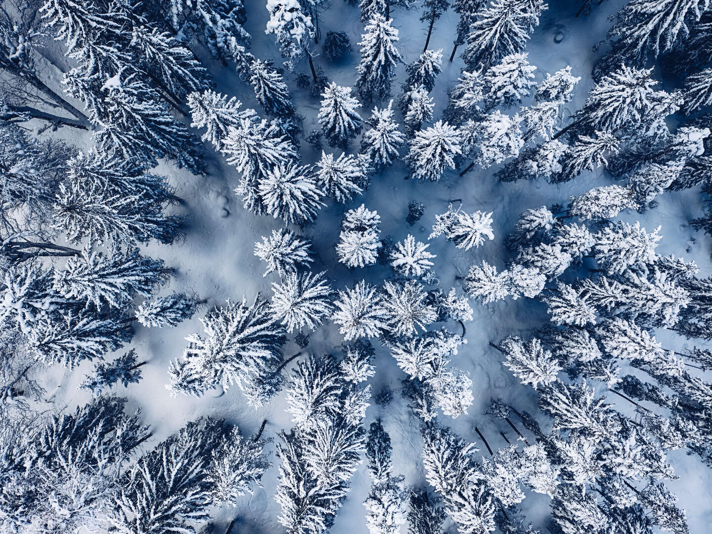 Winterwellness im Zillertal | 4 Nächte