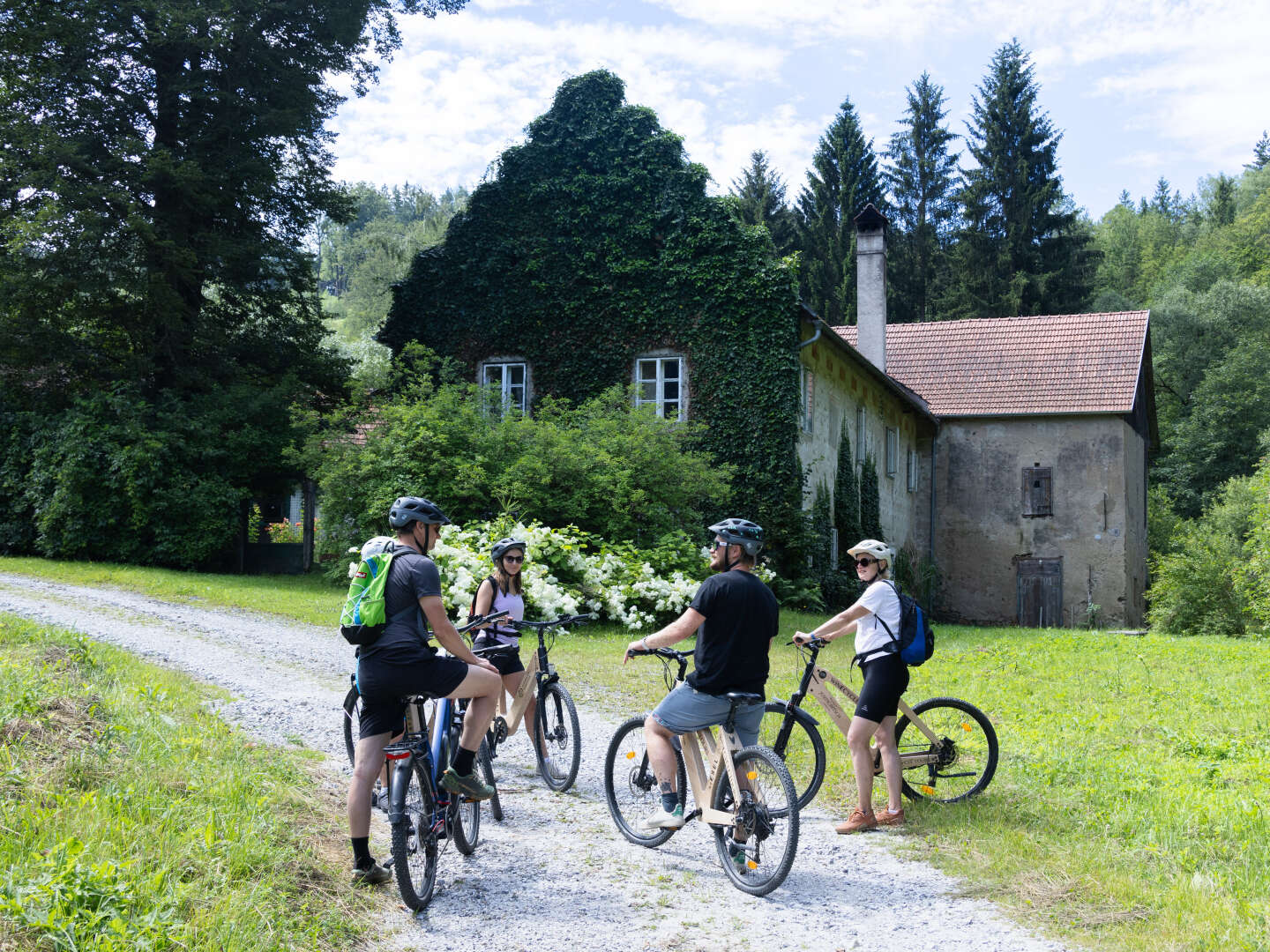 Aktivurlaub beim Ottensteiner Stausee & Abendbuffet | 7 Nächte 