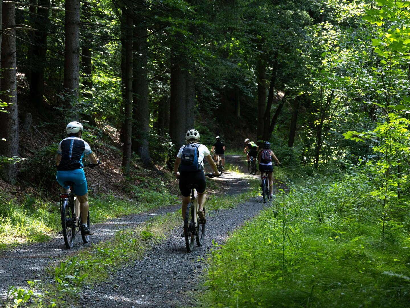 Waldviertler Kultururlaub - Auszeit beim Stausee Ottenstein | 5 Nächte