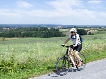 Badeurlaub beim Ottensteiner See im Waldviertel mit Abendbuffet  | 5 Nächte