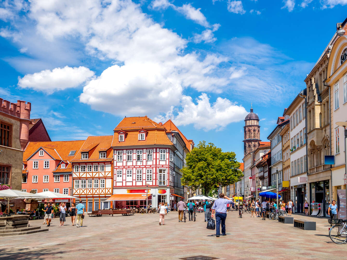 Göttingen & Botanischer Garten | 4 Tage Kurztrip 