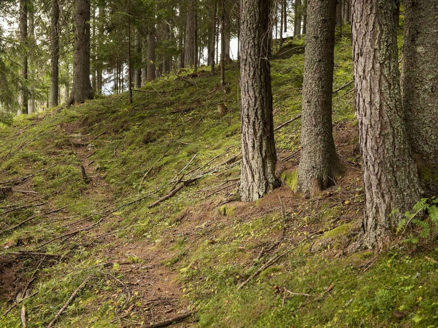 Schnuppertage in Bad Kleinkirchheim - Frühstücksspecial - 2 Nächte