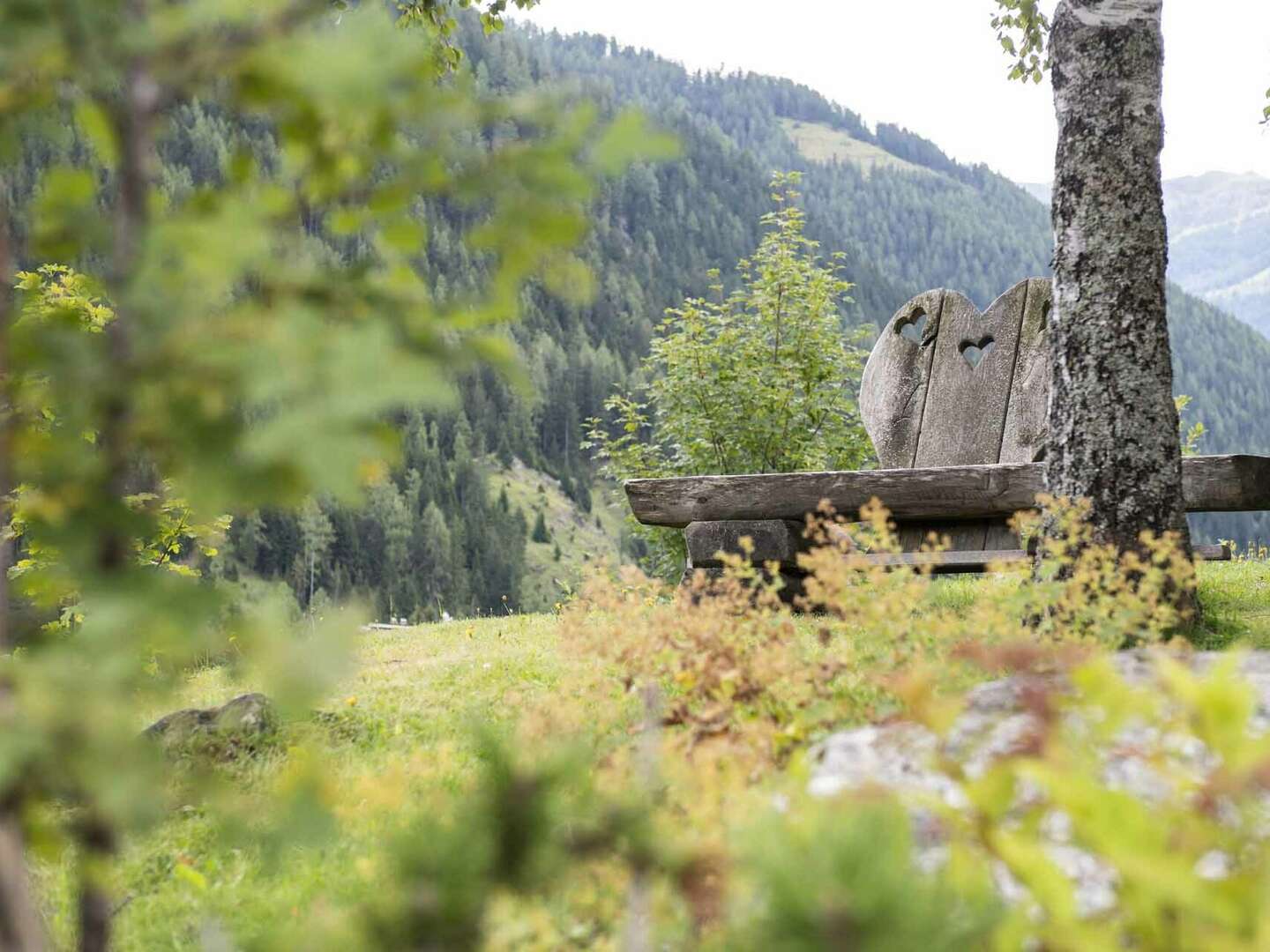 Schnuppertage in Bad Kleinkirchheim - Frühstücksspecial - 2 Nächte