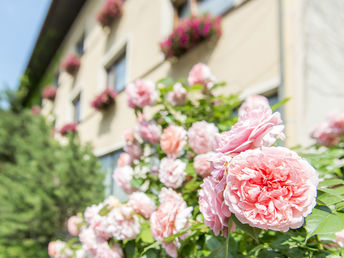 Auszeit in der Steiermark - Ausgangspunkt für viele Aktivitäten