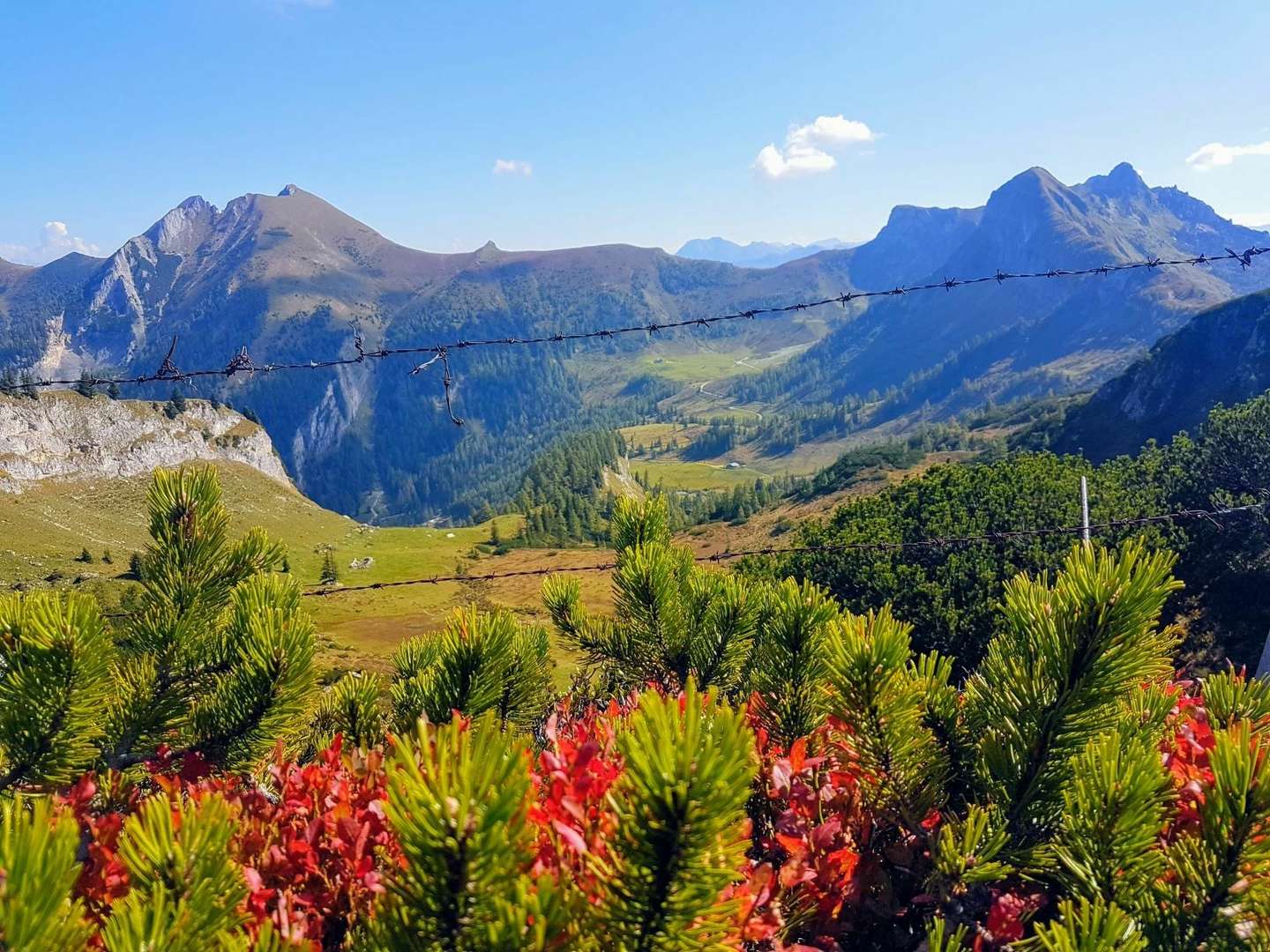 6=5 Jänner Auszeit in den Salzburger Bergen inkl. 4-Gang Abendessen  