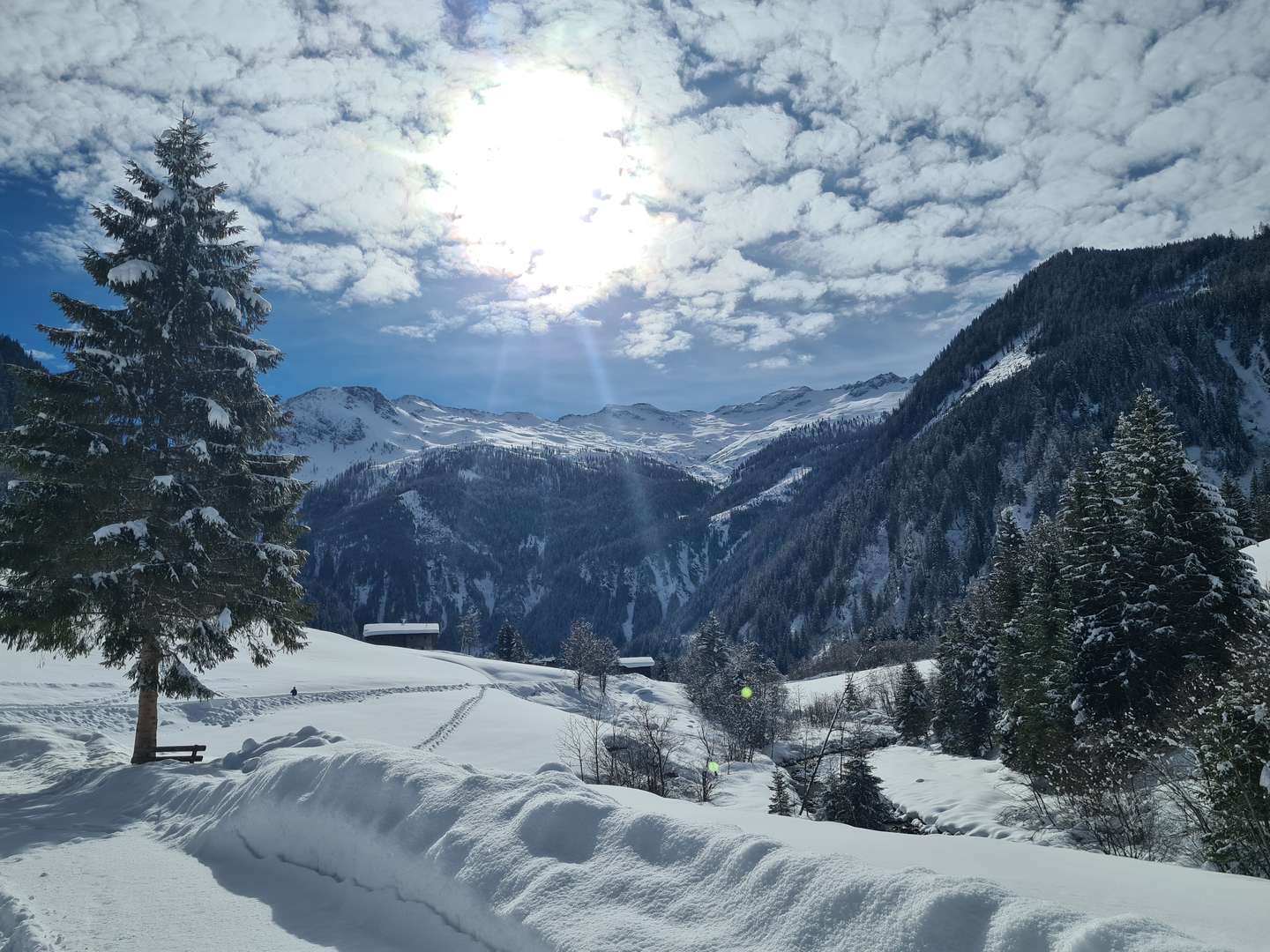 Februar Wedelwoche in den Salzbuger Bergen 