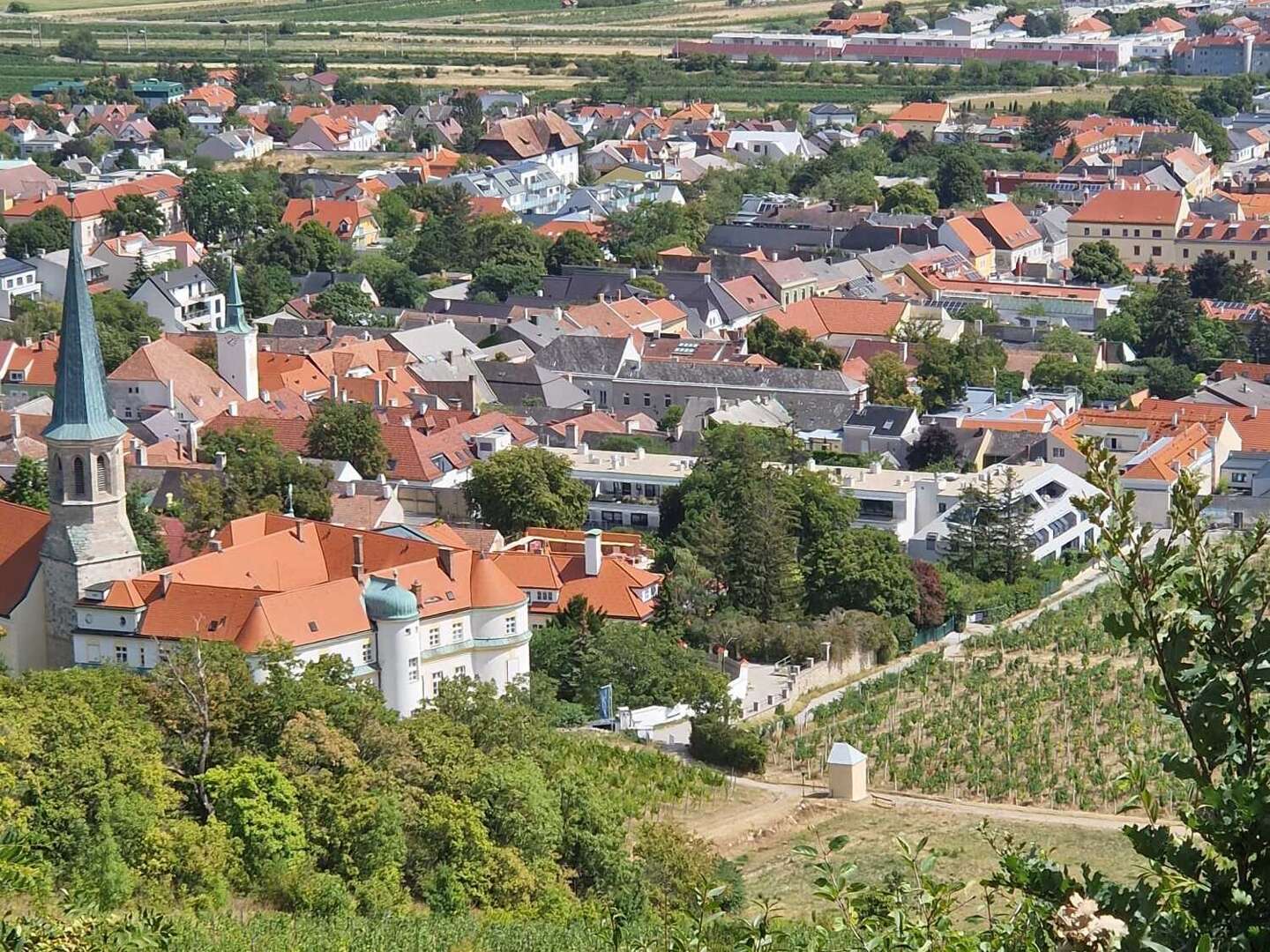 Golfurlaub im Winzerhotel****Gumpoldskirchen I 2 Nächte