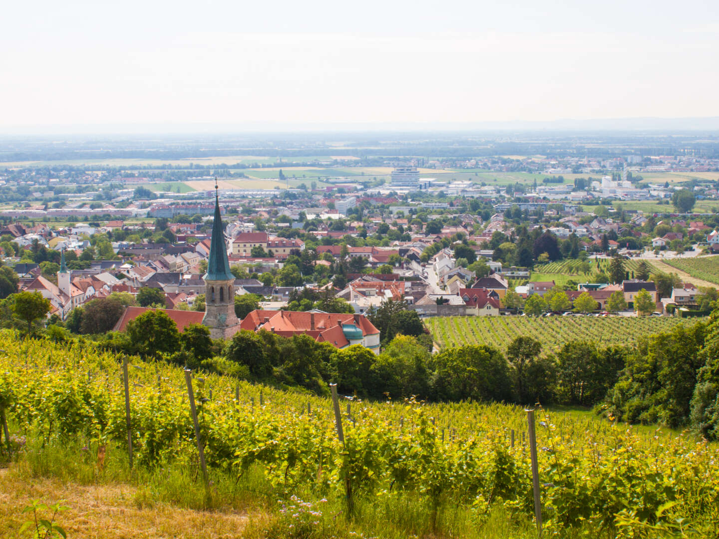 Genussweinreise in Gumpoldskirchen inkl. Weinverkostung |4 Nächte