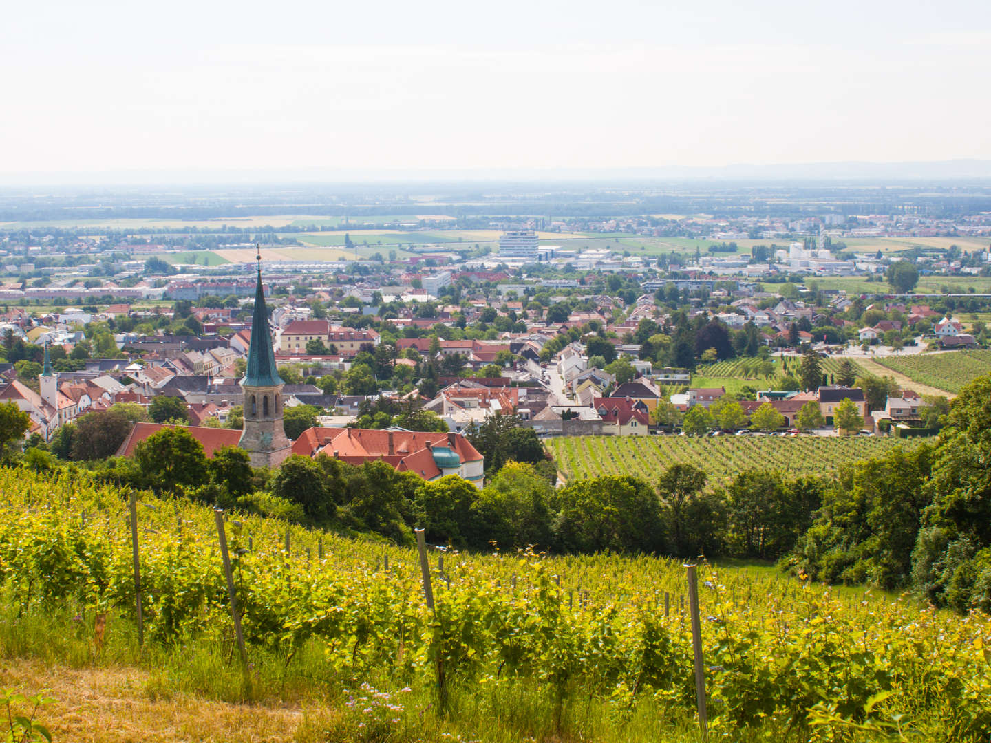 Auszeit im idyllischen Gumpoldskirchen im Wienerwald | 3 Nächte