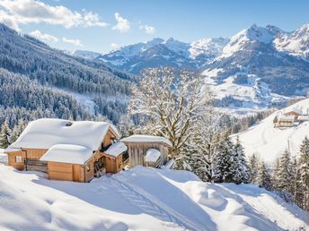 Salzburger Bergwelt Auszeit inkl. Genießerkulinarik | 2 Nächte 