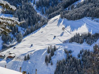 Bergtraum Salzburger Großarltal mit Genießerkulinarik & Begrüßungsschnapserl | 7 Nächte