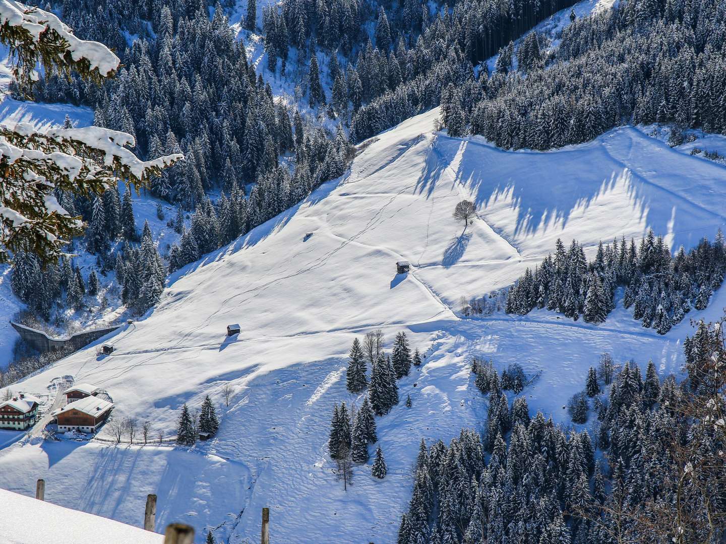 Bauernherbst im Tal der Almen inkl. Begrüßungsschnapserl