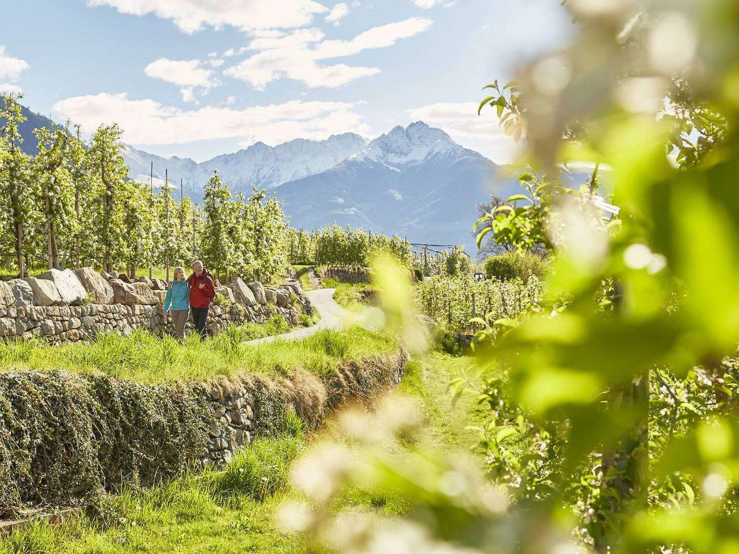 4 Nächte im 4**** MONDI Hotel Tscherms - dem Urlaubsidyll mit italienischem Flair