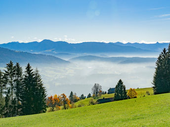 Städtetrip nach Bregenz - Natur, Kultur & unvergessliche Erlebnisse am Bodensee | 2 Nächte