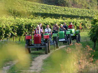 Genussurlaub im Weinviertel inkl. Sekt & 5-Gang-Menü | 3 Nächte