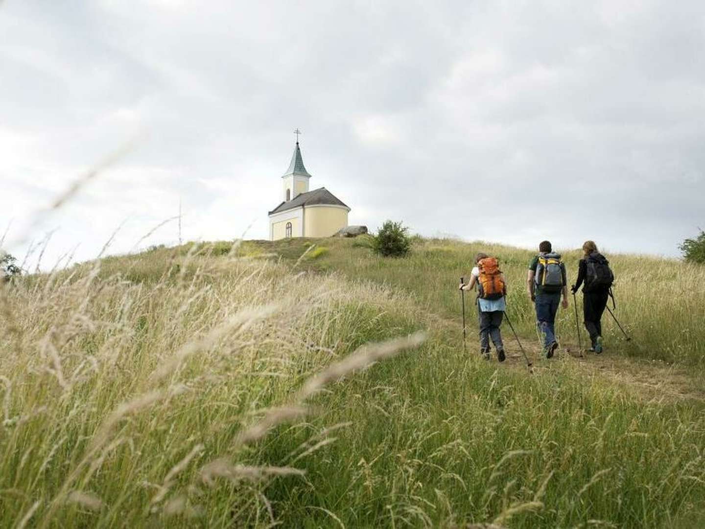 Feiertagsspecial | Weinviertelgenuss inkl. Sekt & Menü | 2 Nächte