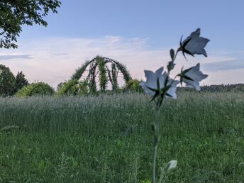 3 Tage Auszeit in Bad Blumau | inkl. 20% Ermäßigung im Rogner Bad - 5 Autominuten entfernt