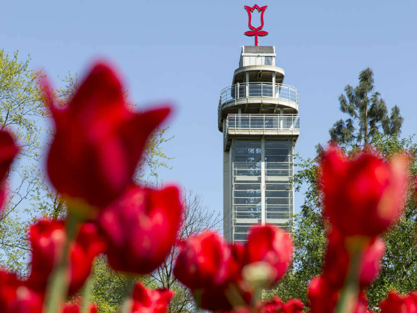 Entdeckungstour im Grugapark | 2 Tage Essen