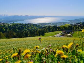 Kurzurlaub nahe Bodensee in Vorarlberg +  | 3 Nächte