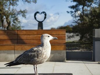 Gemütliches Hotel 500 m vom Strand | 2 ÜF