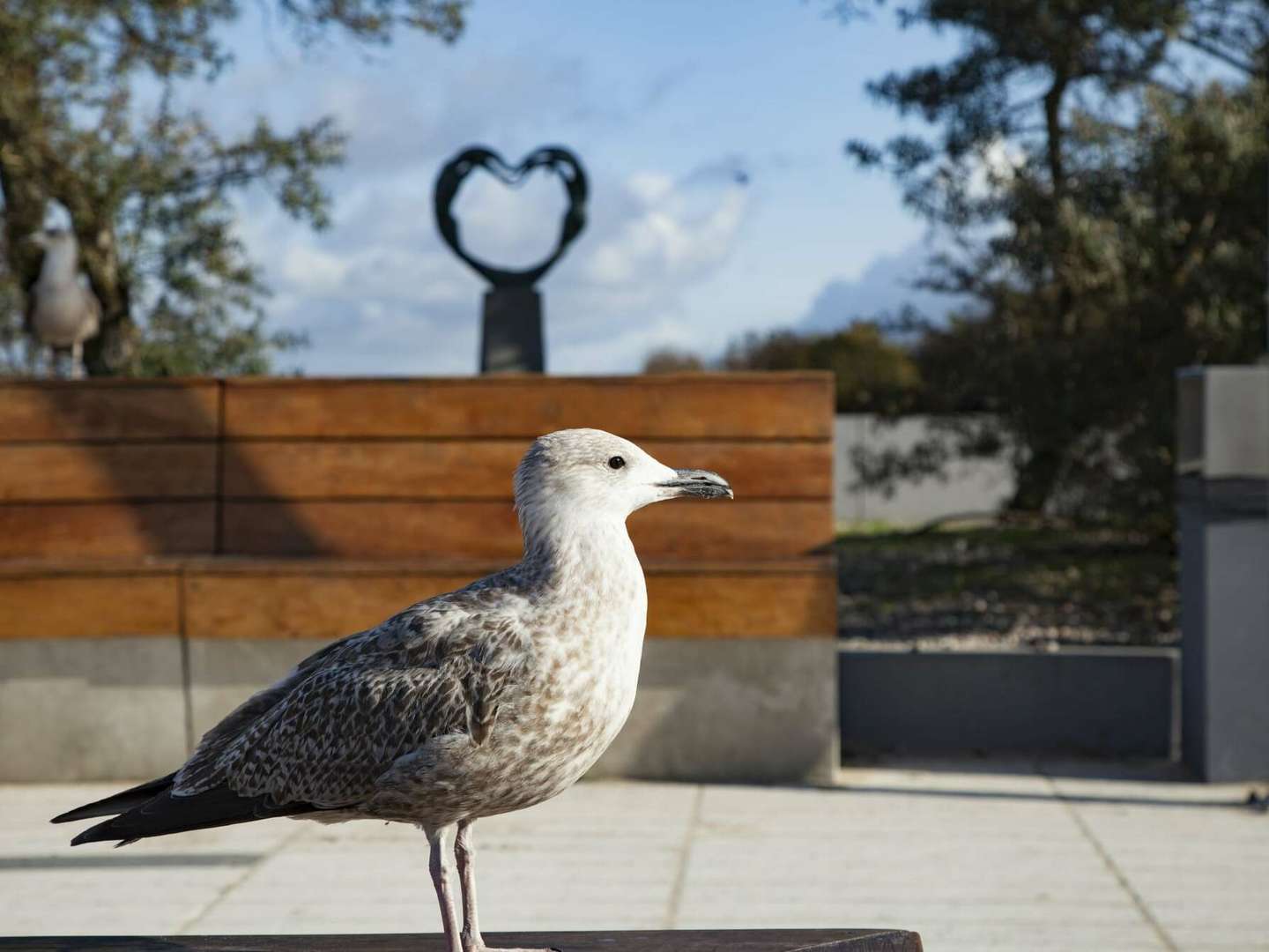 Gemütliches Hotel 500 m vom Strand | 5 ÜF