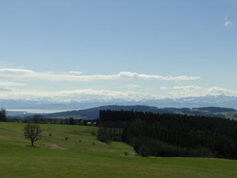 Höchste(n) Auszeit mit Blick auf Bodensee & Alpen genießen - 4 Tage