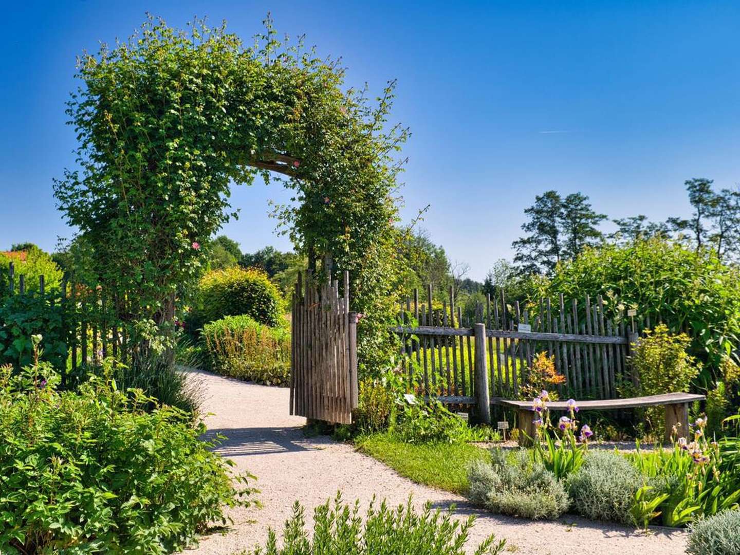 Höchste(n) Auszeit mit Blick auf Bodensee & Alpen genießen - 4 Tage