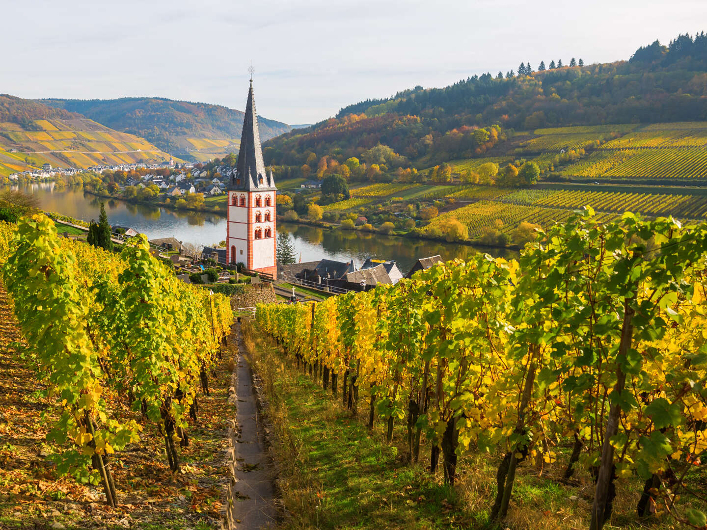 Kulinarische Auszeit in den Weinbergen an der Mosel