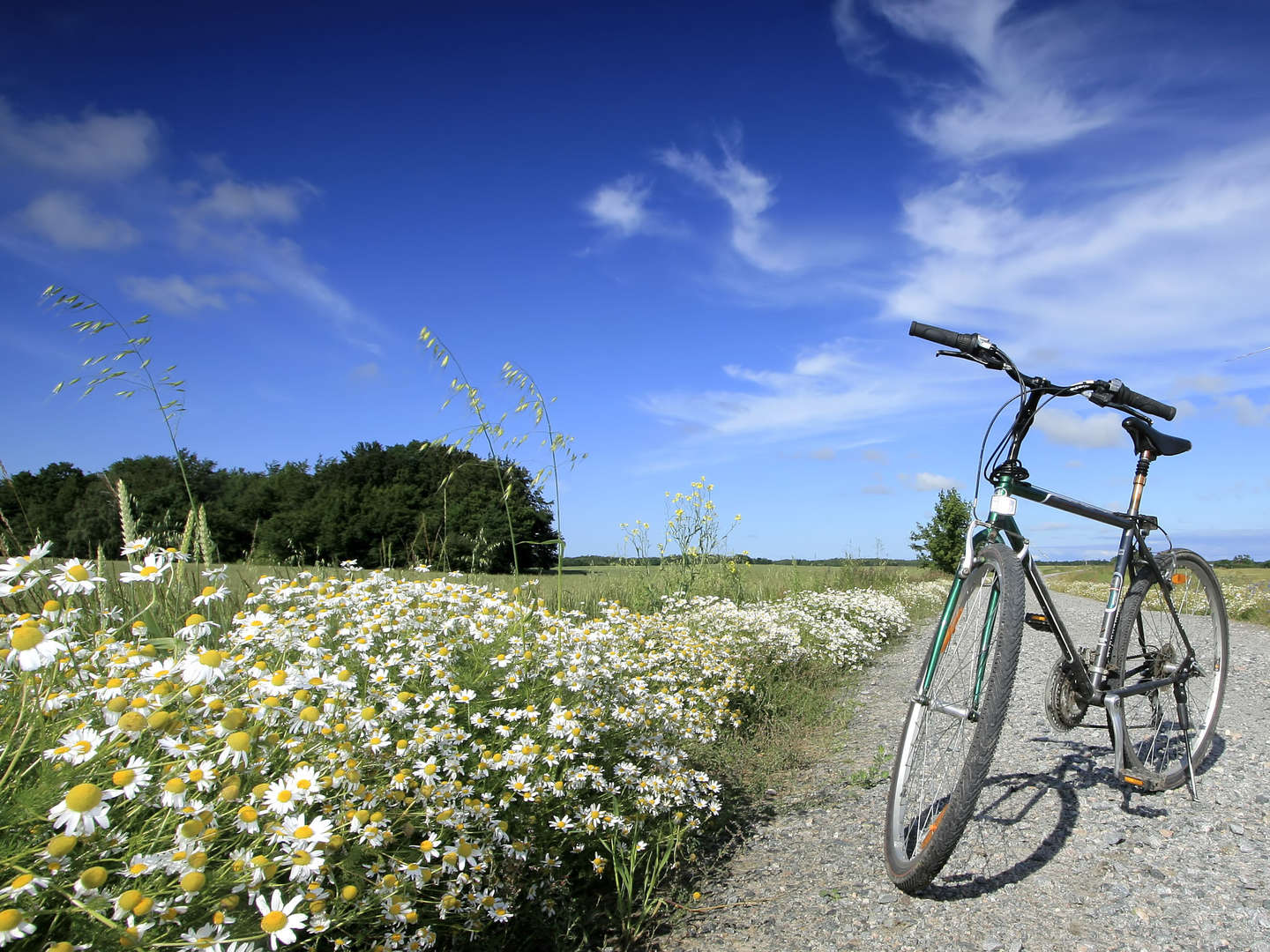 Mit dem Fiets unterwegs im Amstelland - Kurzurlaub auf Holländisch | 3 Tage