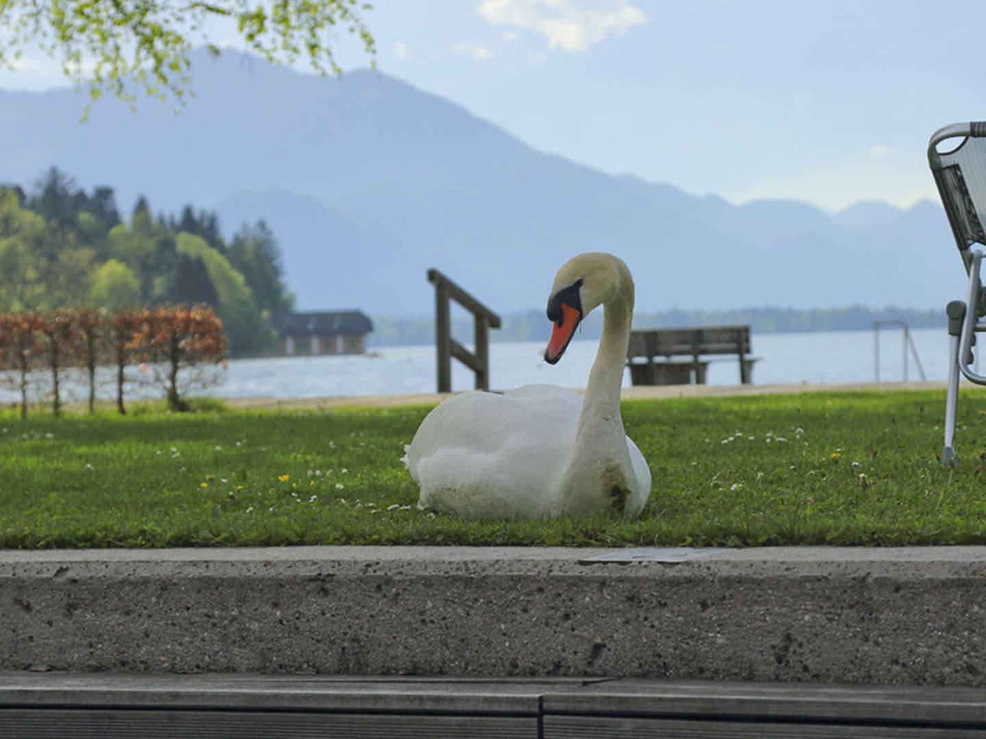 Zauberhafte Auszeit direkt am Wolfgangsee | 7 Nächte