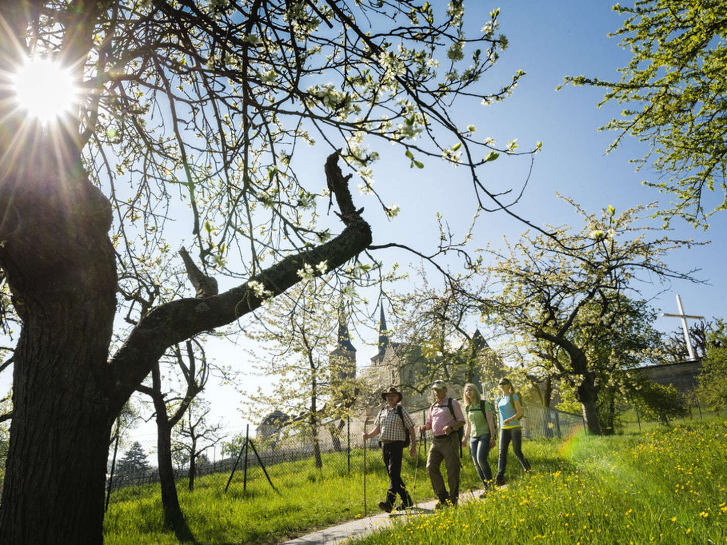 3 Tage Fränkischer Kurztrip inkl. Abendessen, Brauereiführung & Stadtführung