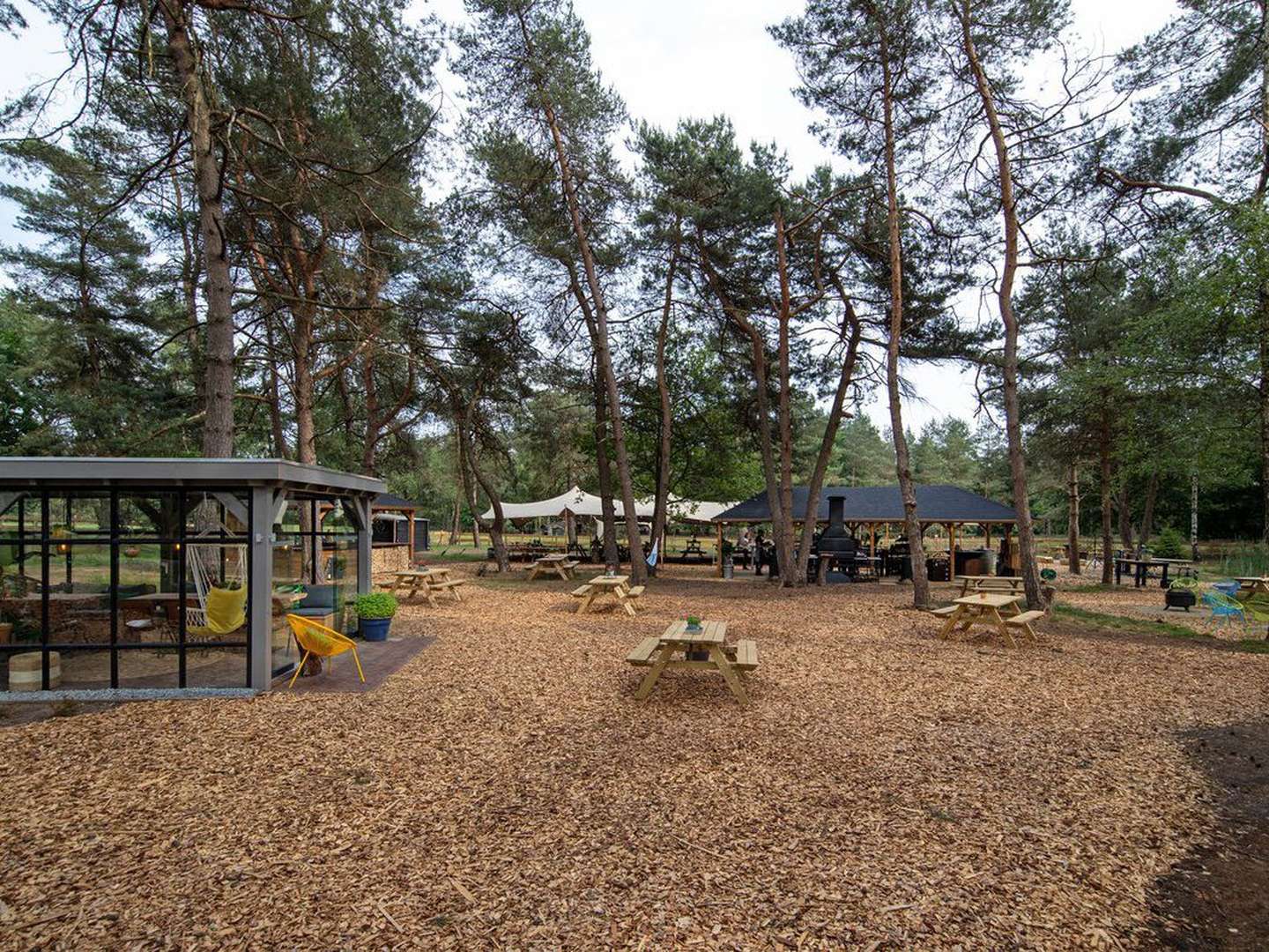 Entspannung und Natur in der Provinz Garderen Niederlande  3 Nächte 