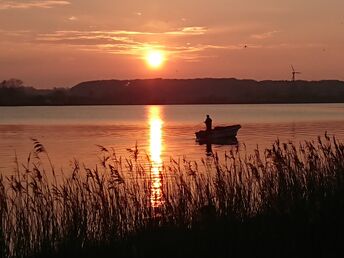 Schupper-Frühjahr an der Schlei