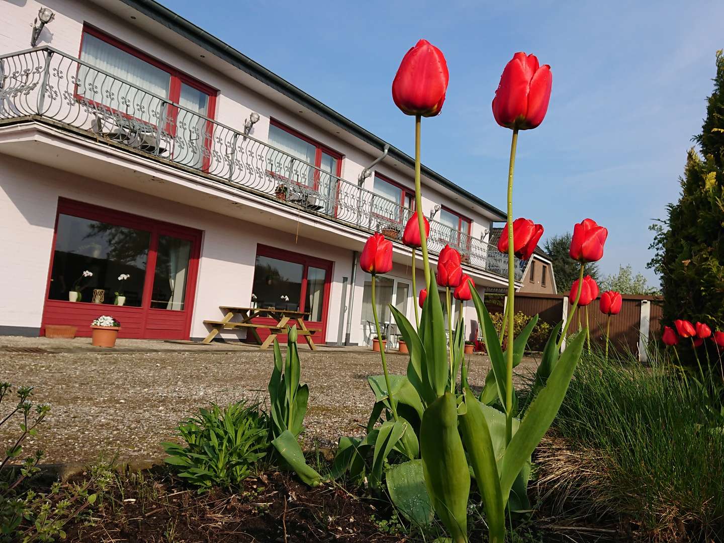 Schupper-Frühjahr an der Schlei