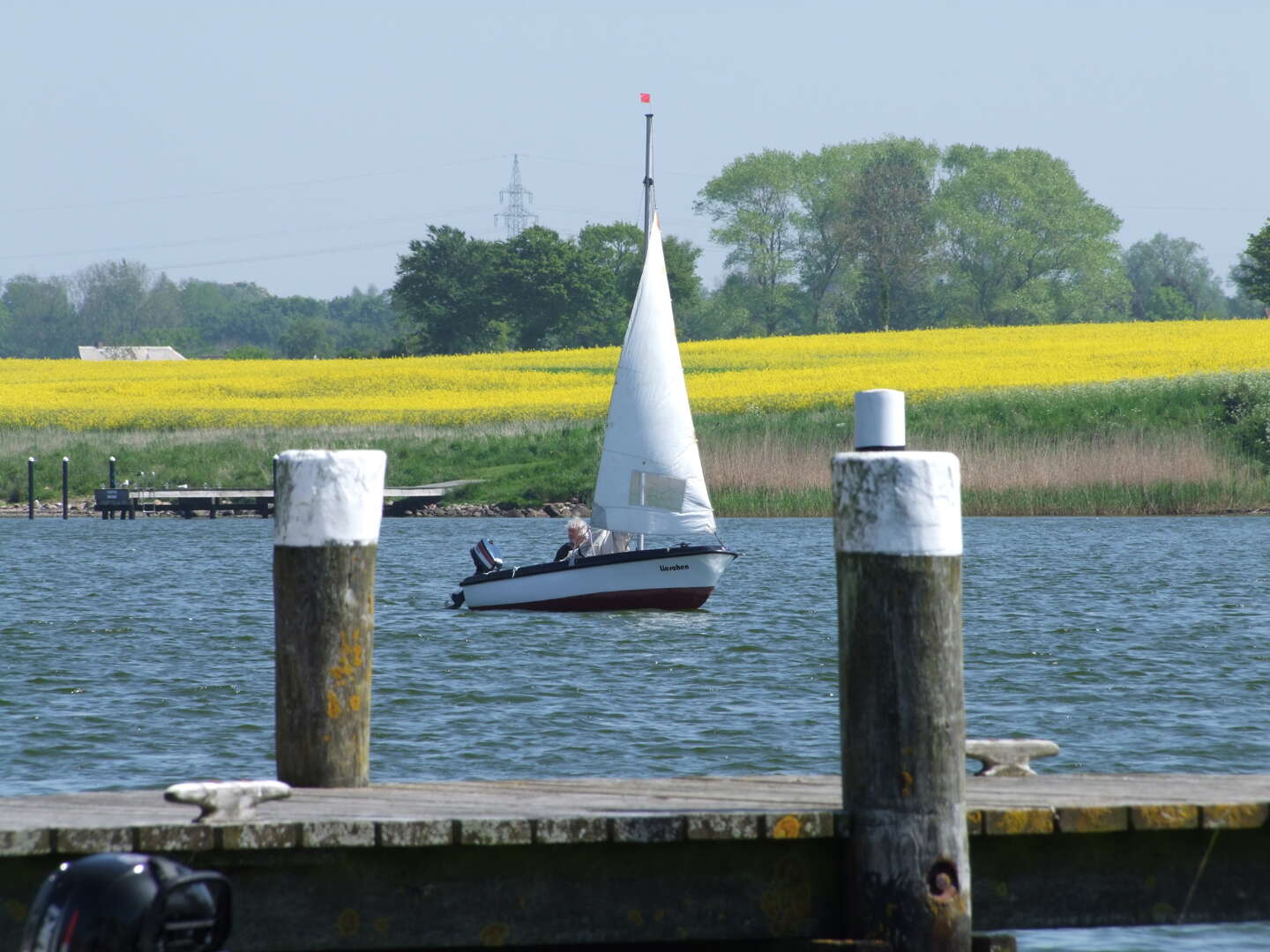 Schupper-Frühjahr an der Schlei