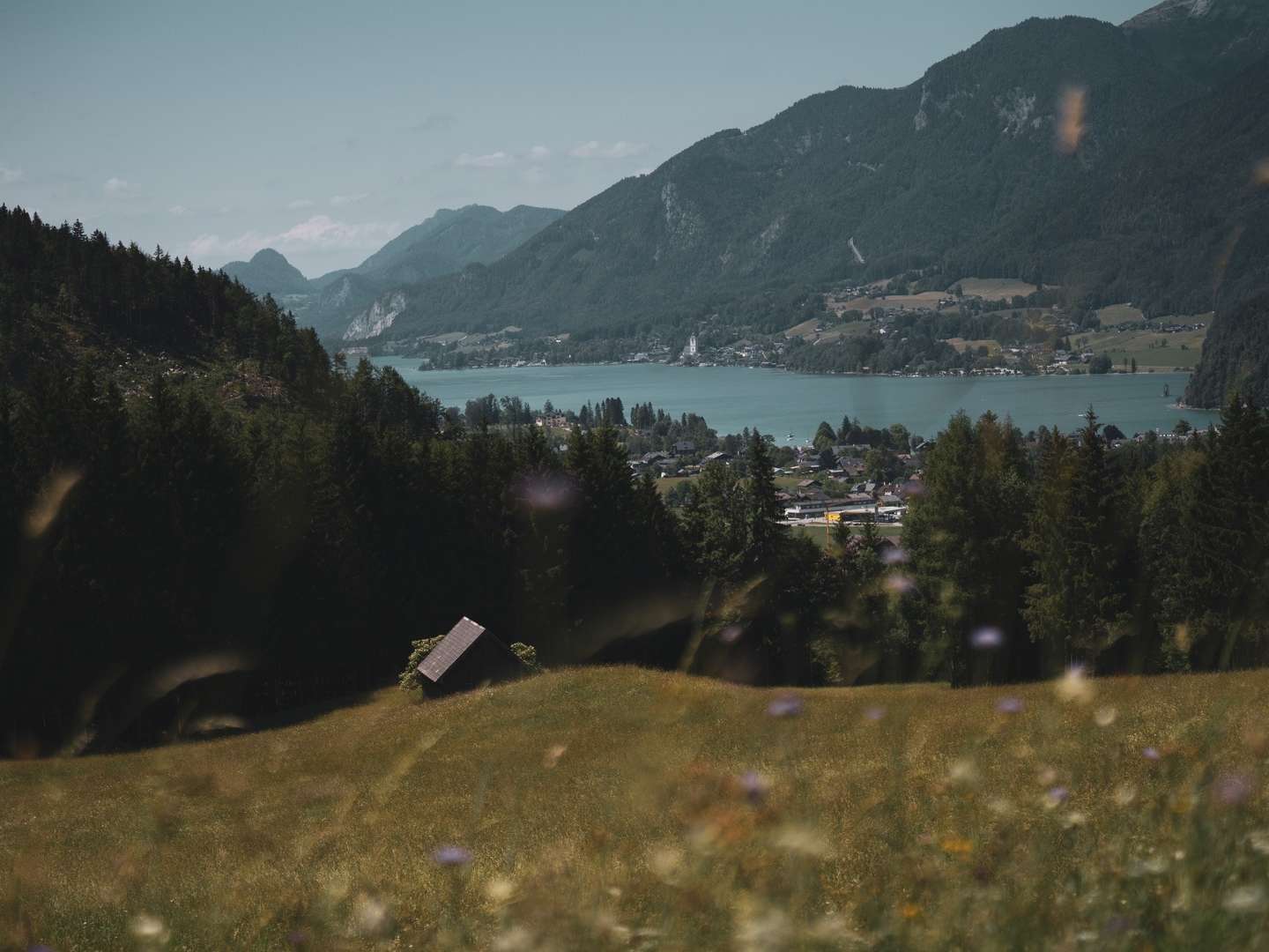 Spätsommer im Salzkammergut - in unmittelbarer Nähe zum Wolfgangsee